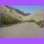 Road Inside Park.jpg